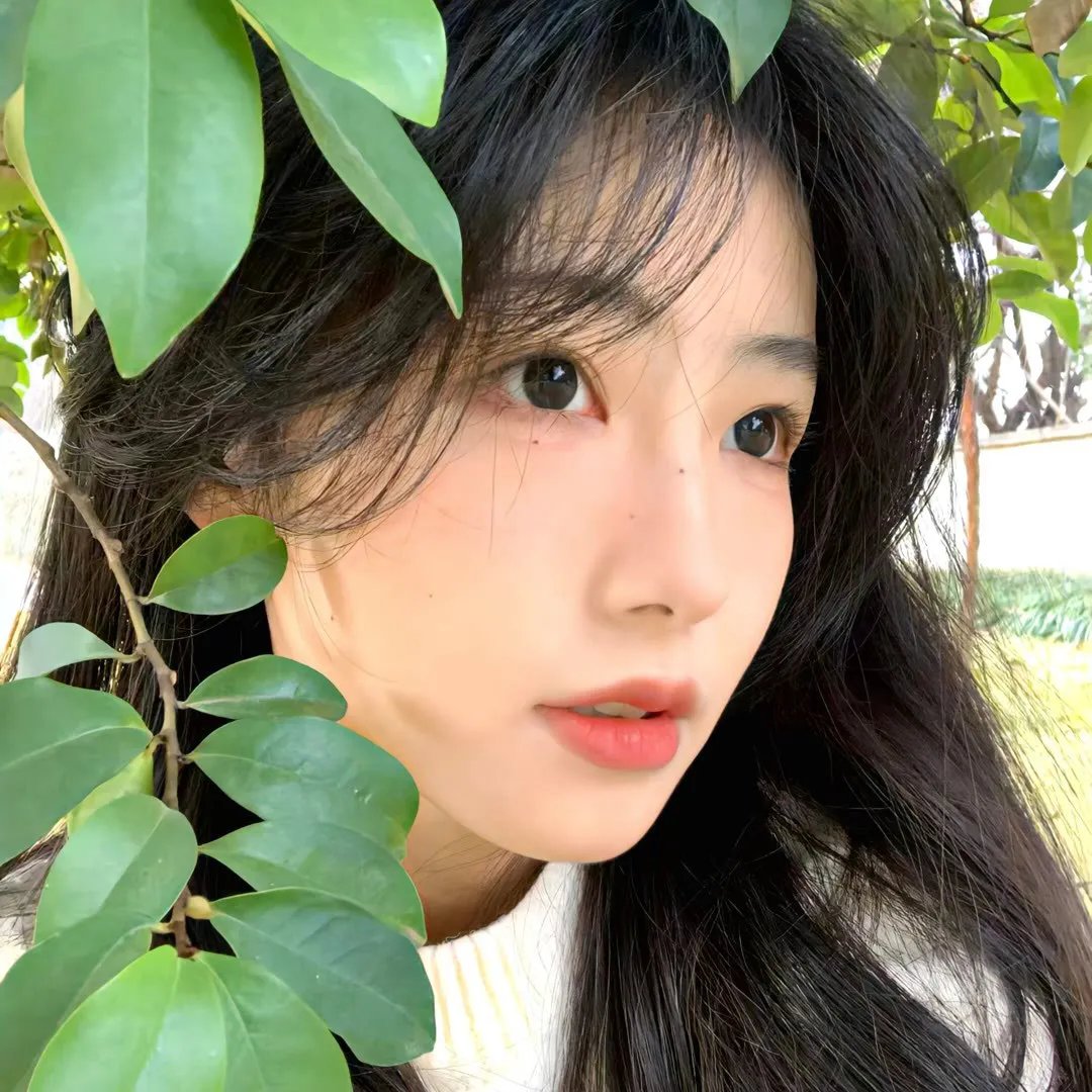 强扭的瓜